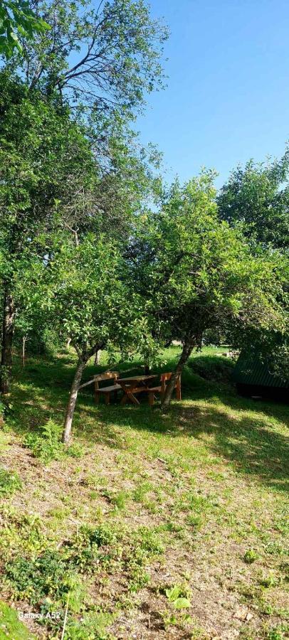Etno Selo -Sapat- Villa Savnik Exterior foto